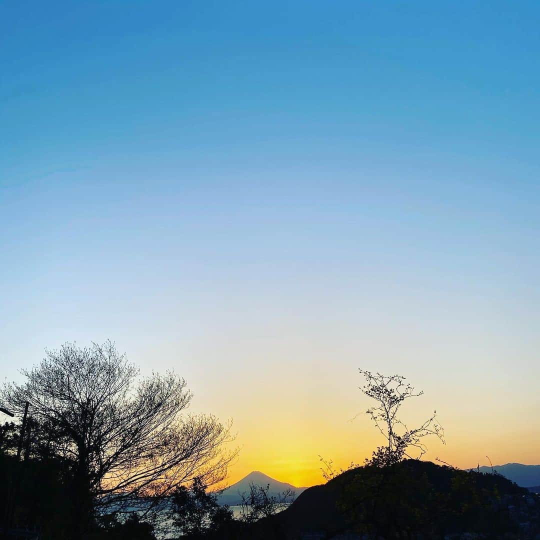 板谷由夏 さんのインスタグラム写真 - (板谷由夏 Instagram)「白米が美味い　やばいな　 ま、いっか」4月15日 19時52分 - yukaitaya