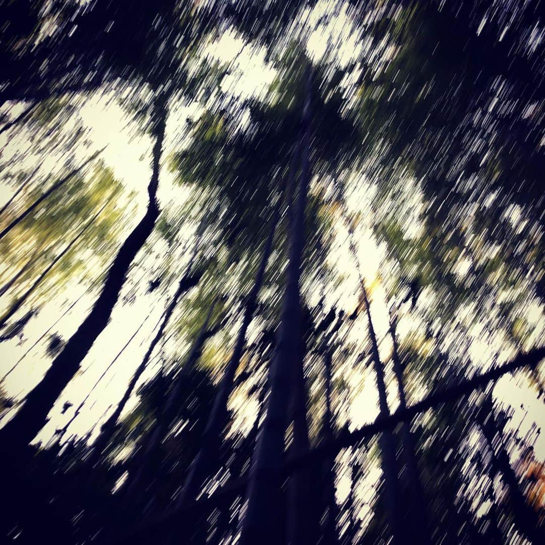 川本睦子さんのインスタグラム写真 - (川本睦子Instagram)「三密を避ける。 #自然 #nature」4月15日 20時07分 - muzco