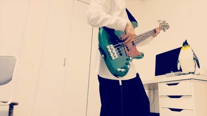 長島涼平のインスタグラム：「ベースつなぎ。本当こういうのやらないんで有江師匠から回ってきてビビりました。  先月録り終えたばかりのテレフォンズの新曲のベースをチラ聞かせ。全アナログでやってみたり、途中でやることなくなって踊ってみたり、楽しかったっす。  今は楽しむことは１つでも多いほうがいいね。  僕が回すならこの人しかいないと思うんで9mmの和彦さんに。  ただ、彼インスタやってないんでTwitterで@kazz_nakamura  #ベースつなぎ #色んなつなぎがあふれまくってるね #thetelephones #新曲 #よく見ると #ペンギンがいるね」