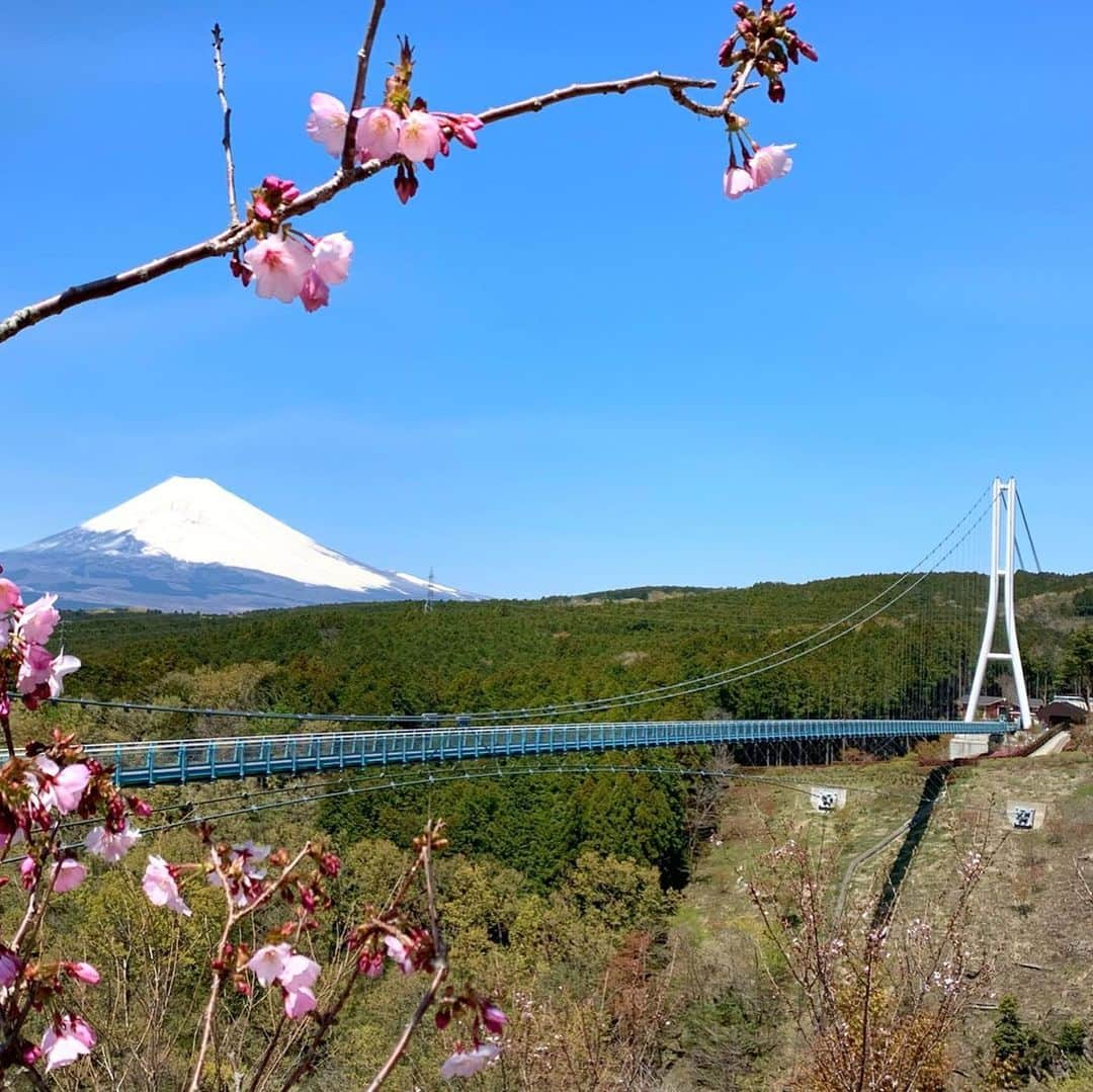 三島スカイウォーク／公式さんのインスタグラム写真 - (三島スカイウォーク／公式Instagram)「本日の景色がとても綺麗なので皆様にもご紹介します🤩 . 人気フォトスポット三島スカイウォークのオブジェ前でパシャリ📸 . 雪化粧した富士山と駿河湾がばっちり見えました🙆‍♀️💞 . お天気が良くとても気持ちよく散策できます🚶✨ .  #三島スカイウォーク #スカイウォーク #静岡 #箱根 #伊豆 #三島 #観光 #吊橋 #吊り橋 #日本一 #富士山  #空をあるこう森であそぼう #富士山 #雪化粧の富士山 #駿河湾 #絶景 #散策 #mishimaskywalk #skywalk #japan #MountFuji #shizuoka #travel #trip #fun #instagood #nature #beautiful #followme」4月15日 11時22分 - mishima_skywalk