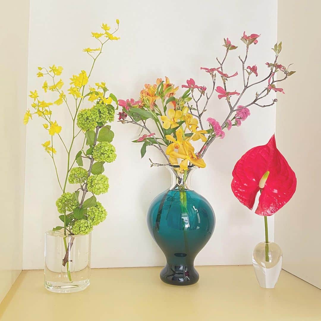中野明海さんのインスタグラム写真 - (中野明海Instagram)「可愛い人から 「お花バトン」 という お花屋さんも嬉しい💕 おこもり生活にも 花が咲く✨✨✨✨ 素敵な贈り物 いただきました。  まとめて生けると、どうも一本ずつが主張しあって難しく花器が決まらず だけど、全部のお花を一緒の場所に並べたくての策w ❤️ 私のバトンは もう少しおこもり生活が進んでから回してみます👍🏻✨ ✨  #真面目にずっとこもっていたからお花屋さんにもいってなかった😭 #お花は潤い #お花屋さんがうっかり送り主の名前を入れ忘れちょっとしたお花ミステリーになりましたw #オンジウム#アレストロメリア #ハナミズキ#オオデマリ#アンスリウム #スターチス」4月15日 11時21分 - akeminakano__official