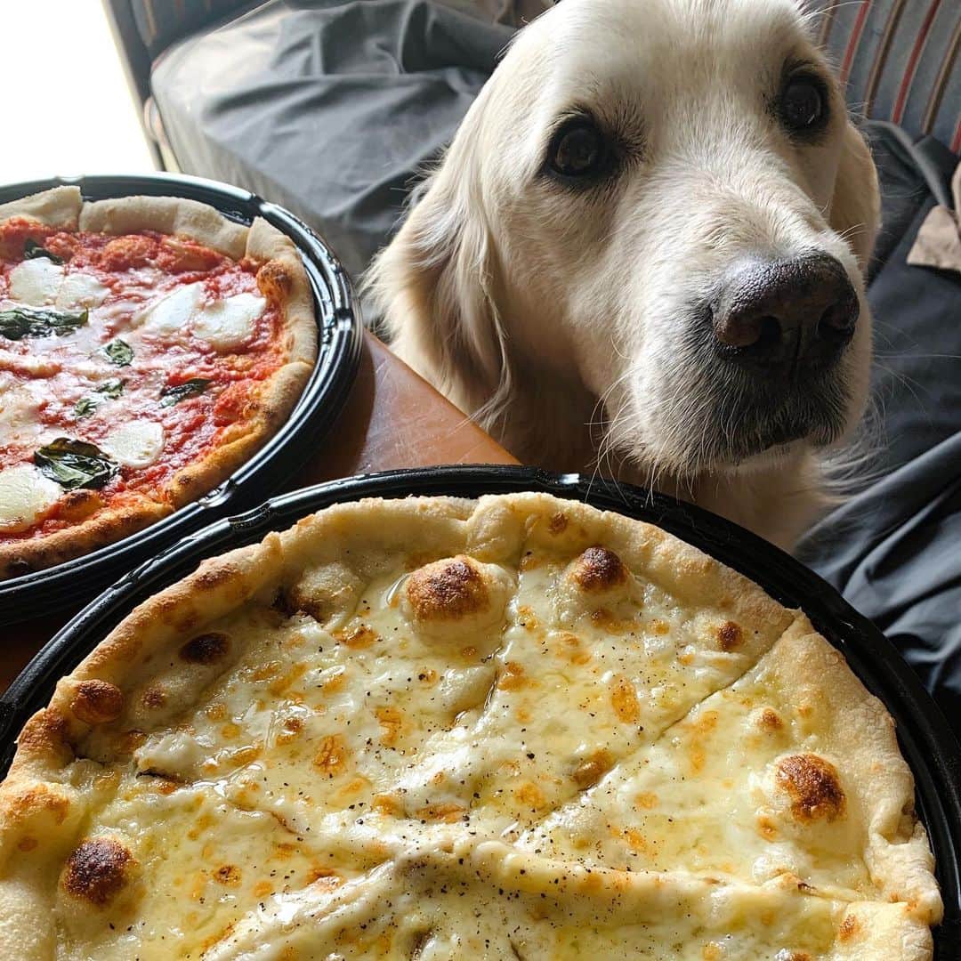 P太郎ママのグルメインスタ