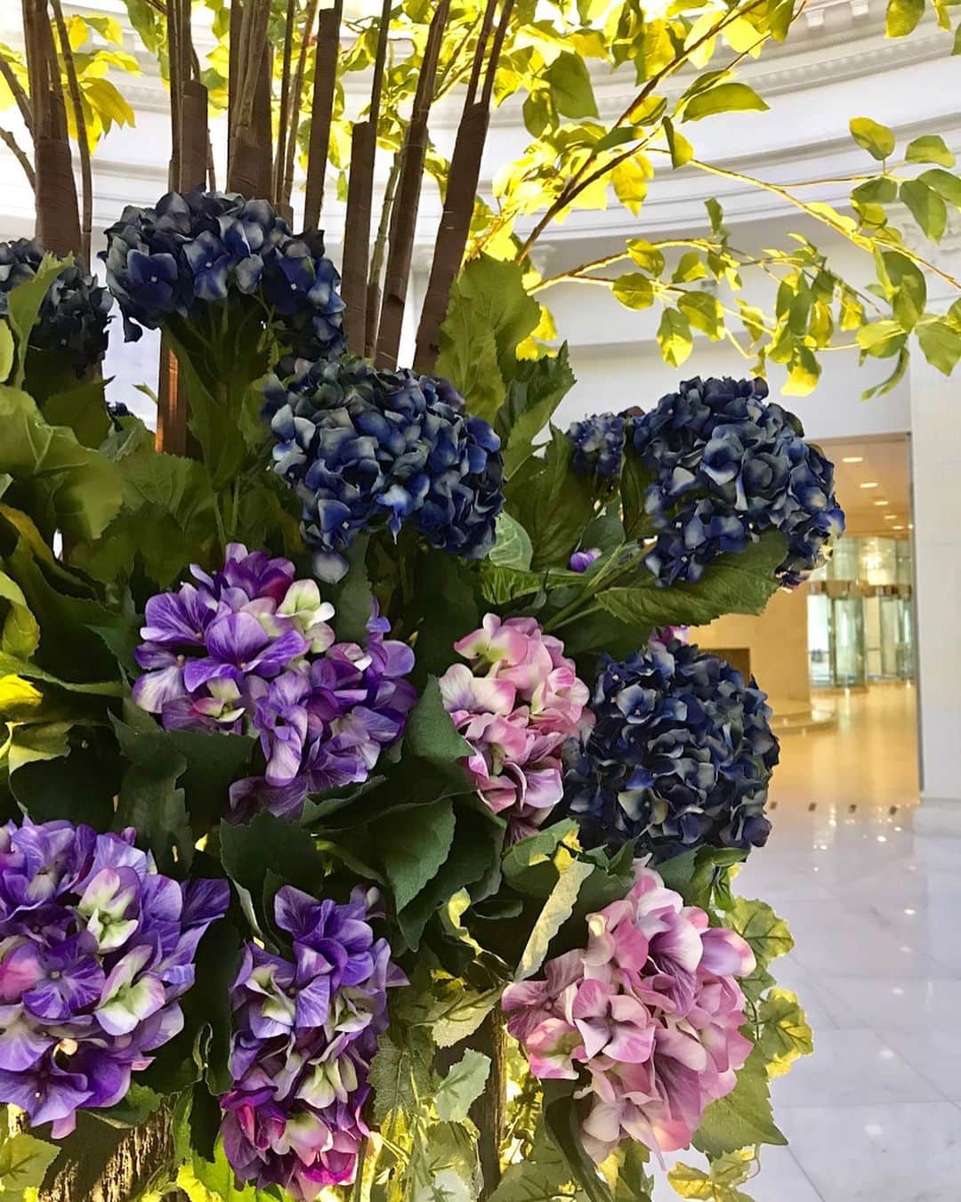新横浜プリンスホテルさんのインスタグラム写真 - (新横浜プリンスホテルInstagram)「今週からあじさいがホテルロビーを華やかに彩ります。色によってさまざまな花言葉を持つあじさいですが、小さな花が寄り添うように咲いていることから「家族団欒」「家族の結びつき」という意味も持っているそうです。⁣ ⁣ ⁣ #新横浜プリンスホテル #プリンスホテル#新横浜#横浜#ホテル#みなとみらい#新横浜プリンス #桜 #桜装飾 #デコレーション #ロビー装飾 #ホテルロビー#あじさい #家族団欒　#絆 #つながり #紫陽花 #フラワーディスプレイ #アレンジメントフラワー #花が好き#アジサイ#フラワースタンド#横浜散歩 #横浜デート#花のある景色#花好き#shinyokohamaprincehotel#princehotel #hotellobby #hydrangea」4月15日 12時08分 - shinyokohamaprincehotel