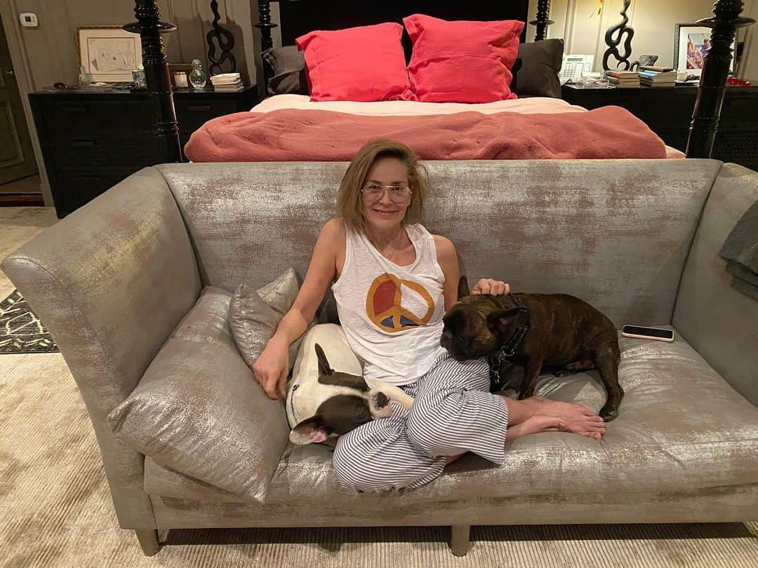 シャロン・ストーンさんのインスタグラム写真 - (シャロン・ストーンInstagram)「Snuggling w my beasties.  S (📷: @pricearana) - #StaySafe #JoeStone #BanditStone #SharonStone #family #StayHome」4月15日 12時34分 - sharonstone