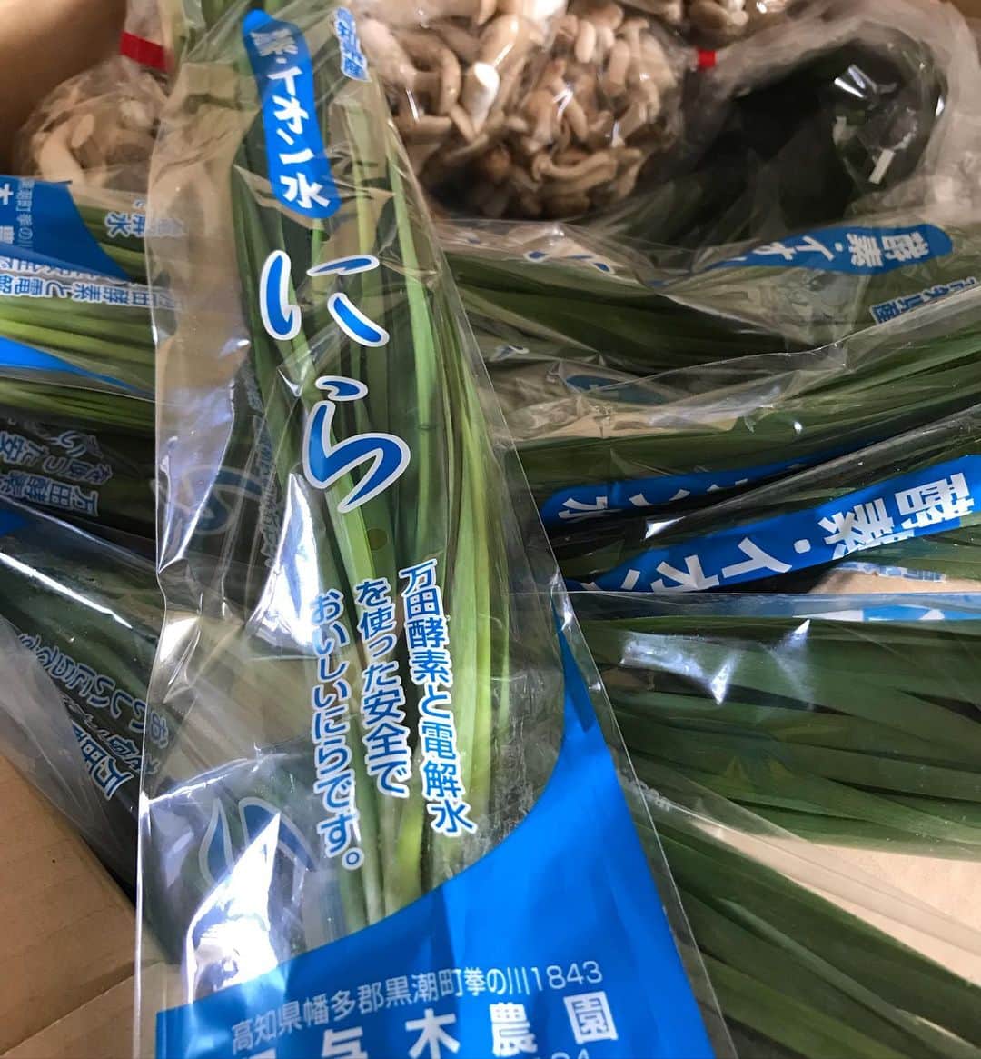 小谷あゆみのインスタグラム：「高知　#黒潮町　の父から大量のニラ20袋としめじ15袋が届く 少しでいいよという日本語が通じない県民性 とりあえずベランダ仕事〜 #干ししめじ #天日干し #高知のニラ  #黒潮町のニラ」