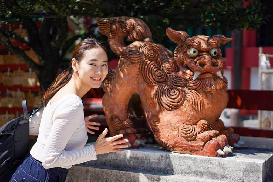 本多麻衣さんのインスタグラム写真 - (本多麻衣Instagram)「沖縄の神社・波上宮⛩の狛犬さんは、なんと、シーサーさん😳✨✨✨ ・ これにもテンション上がりました〜😂✨目が愛くるしい☺️✨見つめ合いました(2枚目) ・ 狛犬さんについても過去に投稿してますが、神の使いであり、獅子形の像の起源はエジプトやインド🇪🇬🇮🇳 外来の犬という意味を持ちます✨ #神社とまい」4月15日 13時03分 - maihonda_