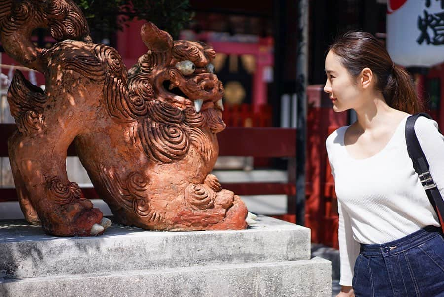 本多麻衣さんのインスタグラム写真 - (本多麻衣Instagram)「沖縄の神社・波上宮⛩の狛犬さんは、なんと、シーサーさん😳✨✨✨ ・ これにもテンション上がりました〜😂✨目が愛くるしい☺️✨見つめ合いました(2枚目) ・ 狛犬さんについても過去に投稿してますが、神の使いであり、獅子形の像の起源はエジプトやインド🇪🇬🇮🇳 外来の犬という意味を持ちます✨ #神社とまい」4月15日 13時03分 - maihonda_