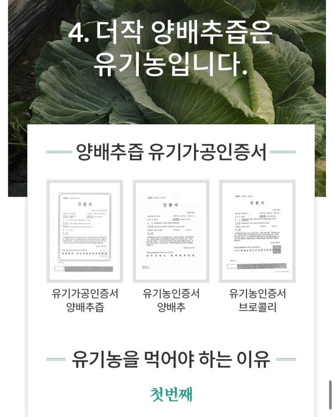 ダユンさんのインスタグラム写真 - (ダユンInstagram)「두달동안 꾸준히 테스트해본  더작 호박즙 양배추즙 드디어 오픈  제 인스타에 매일같이 올라온거 보셨죠 🥗🎃 . . 🔸15일-17일 3일간 OPEN 🔸평일 오후 2시 이전 결제완료 주문건 당일출고 . 🔸금일 주문건 내일 출고 🔸한박스에 30포 들어있어요 🙆🏻‍♀️ . . 원래 잘 붓는 타입이라 중학생때부터 다양한 호박즙을 많이 마셔봤어요 직접 건강원에서 짜서 먹어보기도 하고 그러나 맛이 그렇게 썩 좋지는 않더라구요 매운 음식을 너무 좋아해서 위도 약해져서 양배추즙도 챙겨먹는데 원효대사 해골물 맛나고 😭 . . 🔸더작 호박즙은 농도가 진해서 호박죽 맛이 나요 ! 🔸 양배추도 생 양배추 맛이 나서 거부감없이 드실 수 있어요. 🔸 몸이 잘 붓는 분들 . 🔸 염분 가득 야식 많이 드시는 분들 . 🔸 속쓰림 위염으로 고생하시는 분들 . 🔸 믿고 안전한 유기농 . . . . #프로필링크타고오세요 #맛있게건강챙기기 #하루두포 #잊지말아요😚」4月15日 14時22分 - 2__yun__2