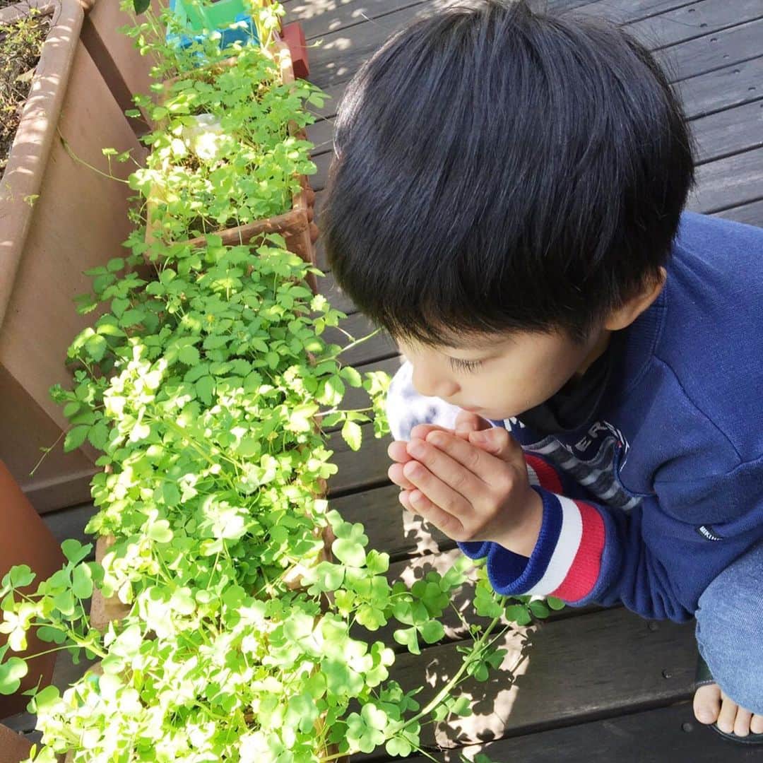 のインスタグラム：「Inside home is peaceful. * 家の中は平和です。  #市川海老蔵 #海老蔵 #成田屋 #歌舞伎 #ABKAI #ABMORI #ebizoichikawa #ebizo #kabuki #thunderparty #theater #theaterarts #actor #japan #classic」