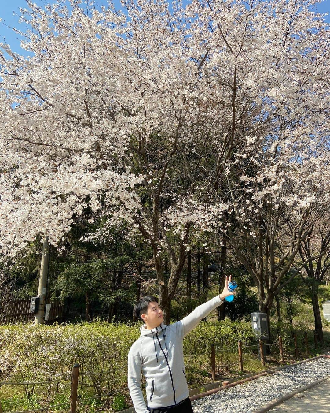 ジュノさんのインスタグラム写真 - (ジュノInstagram)「날이 좋아서 벚꽃도 더 이쁘게보였다🌸 天気が良すぎて桜がもっと綺麗に見えてました😍久々のアップロード⬆️ . . . #JG #joonho #daily」4月15日 14時42分 - joonho_jg