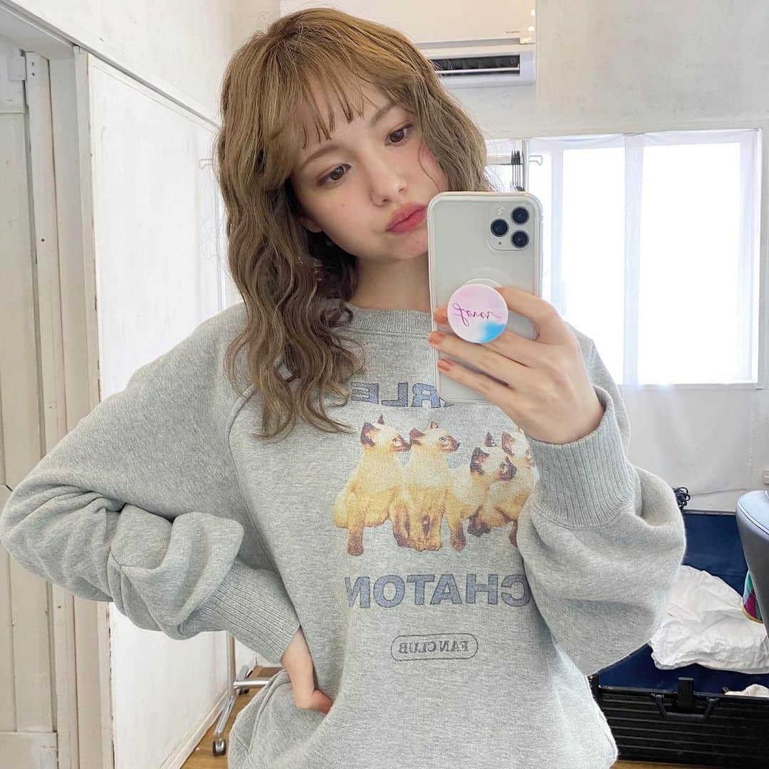 柴田あやなのインスタグラム：「シャルルのトレーナー🐈ねこかわいい」