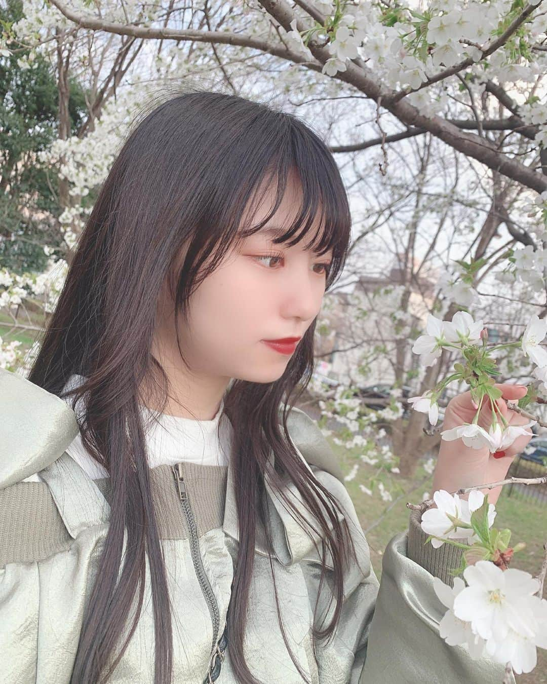 小林紗良さんのインスタグラム写真 - (小林紗良Instagram)「🌸🌸🌸」4月15日 15時52分 - sara_1229_