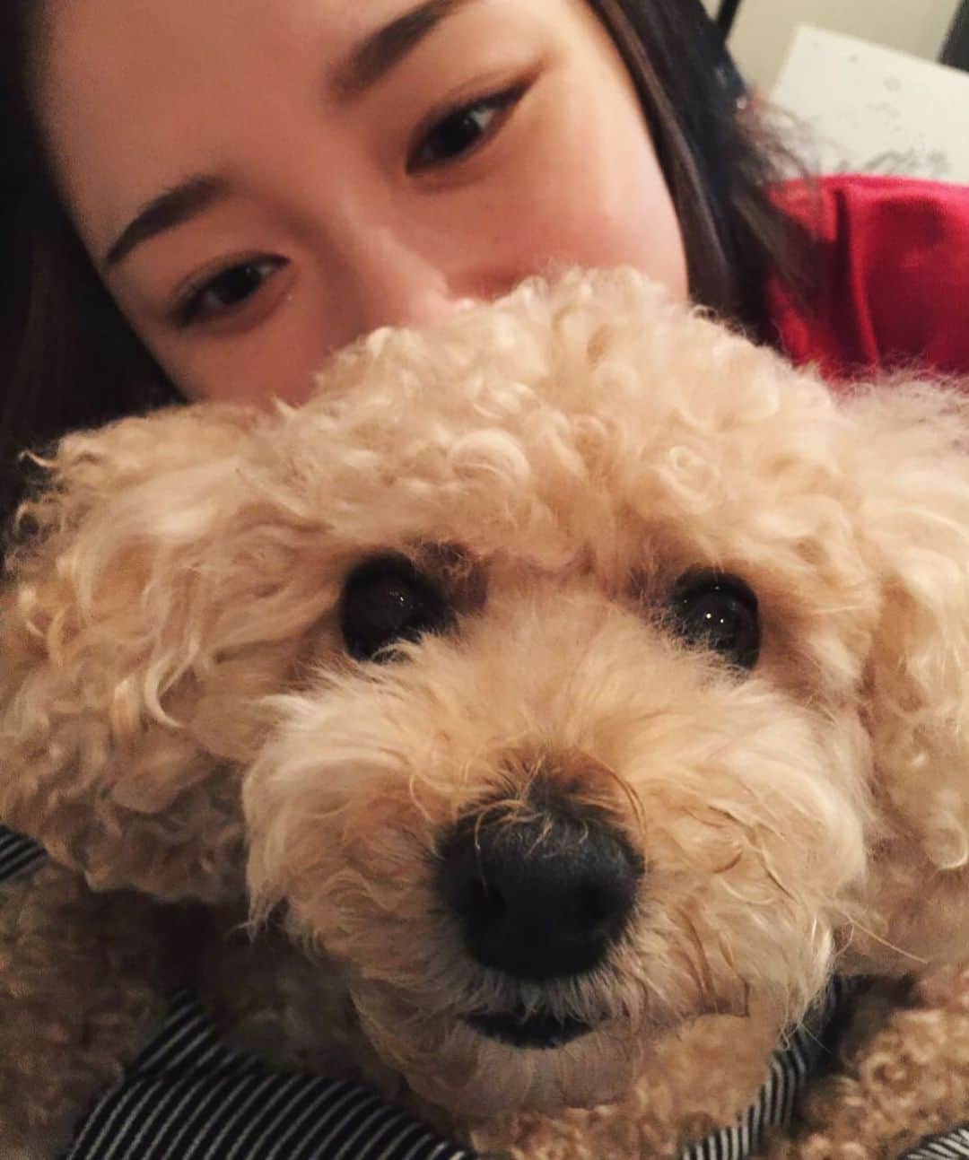 吉田凜音のインスタグラム：「コロン大好きだよ🥰🥰 ゆっくりと休むのよ、よく頑張りました 天国でもどうか元気でありますように」