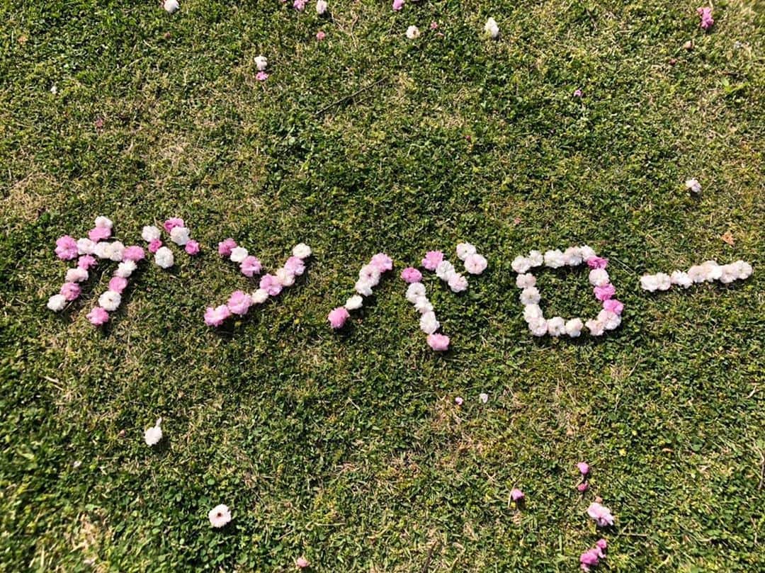 椎名佐千子さんのインスタグラム写真 - (椎名佐千子Instagram)「昨日の強風でなのか、八重桜の花が沢山落ちてしまっていたので 寄せ集めてみたよ🌟 まだ先は見えないけど… 一緒に頑張りましょう♡ #桜  #八重桜  #舞い散る花  #まだ先がみえないけど  #一緒に  #頑張ろう  #きっと春はくる」4月15日 16時29分 - enkano.shiinasachikodes