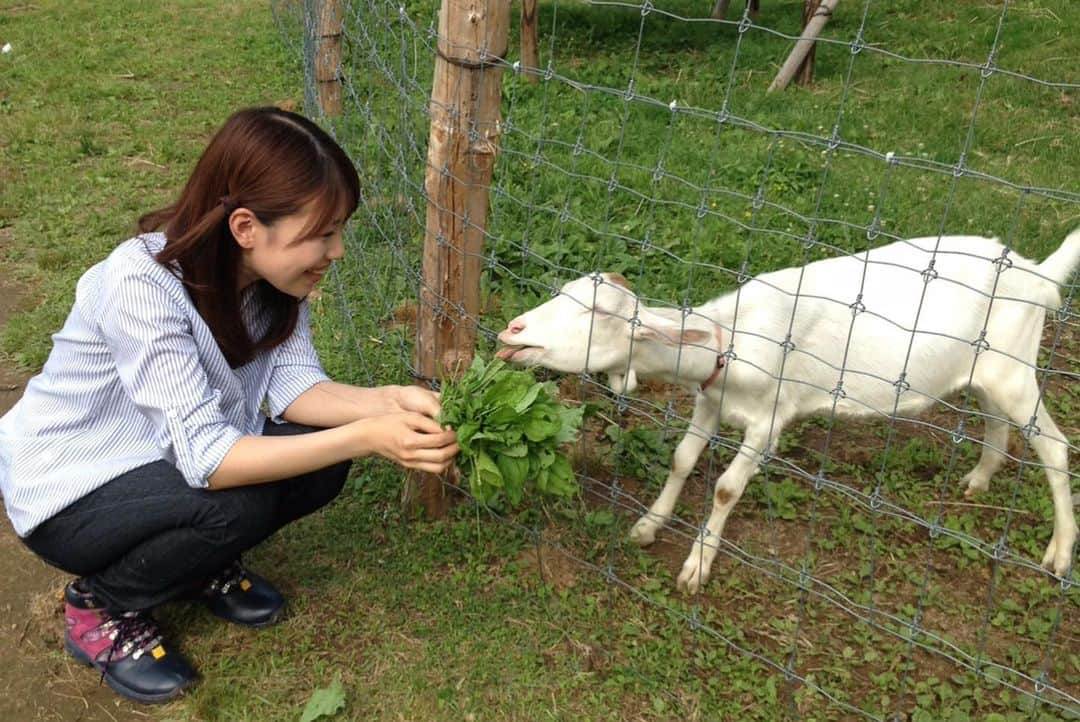 道岡桃子さんのインスタグラム写真 - (道岡桃子Instagram)「外に出られないから、新潟時代のロケ写真を！ . 佐渡島も、湯沢高原も、長岡も最高だ！！！ 大自然はいいな〜〜 . . P.S.なんで亀に乗ってるんだ？🐢 . #森林浴 #聖籠町 #佐渡 #佐渡島 #湯沢 #湯沢高原 #新潟 #新潟旅行 #niigata #新潟県 #新潟テレビ21 #海 #長岡 #さくらんぼ #さくらんぼ狩り #アナウンサー #森 #旅サラダ #ラッシャー板前 さん #ロケ #大自然」4月15日 16時39分 - momoko_ana