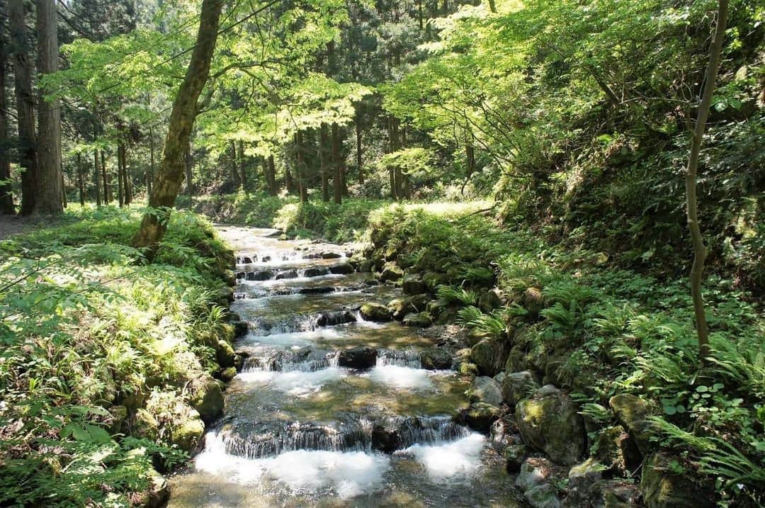 道岡桃子のインスタグラム