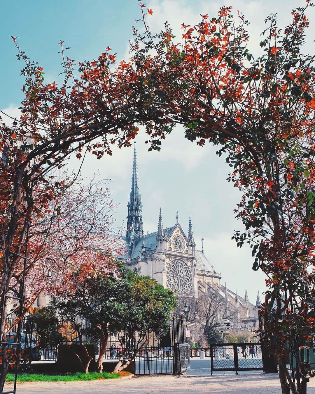 nathparisのインスタグラム：「NOTRE DAME DE PARIS... . Il y a 1 an j’étais à New York quand Notre Dame à pris feu, j’ai découvert ce drame sur internet, cela m’a boulversé. Aujourd’hui encore nous vivons des moments difficiles alors voici une sélection d’images avant le drame, pour se souvenir et dans l’espoir de retrouver des jours meilleurs 💛 Prenez soin de vous ! . Photos (2015-2018) #notredamedeparis #notredame」