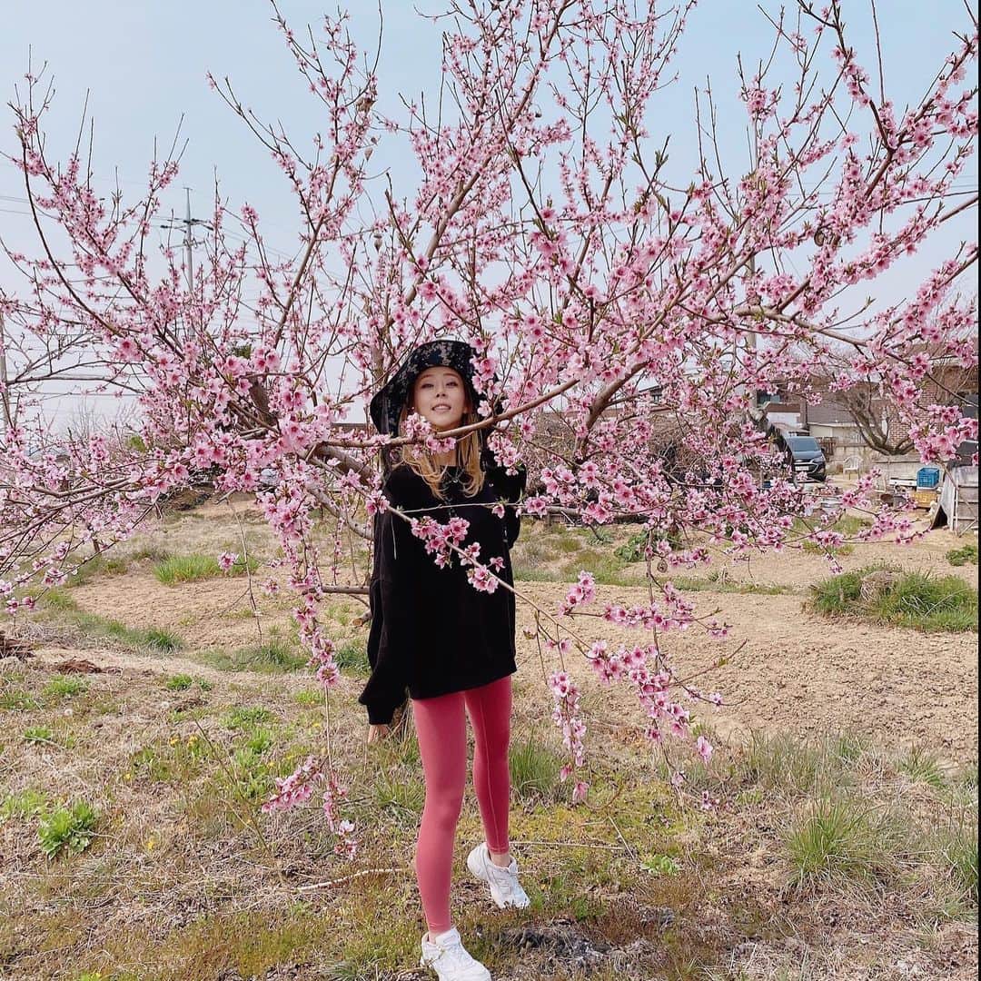 ピパ のインスタグラム