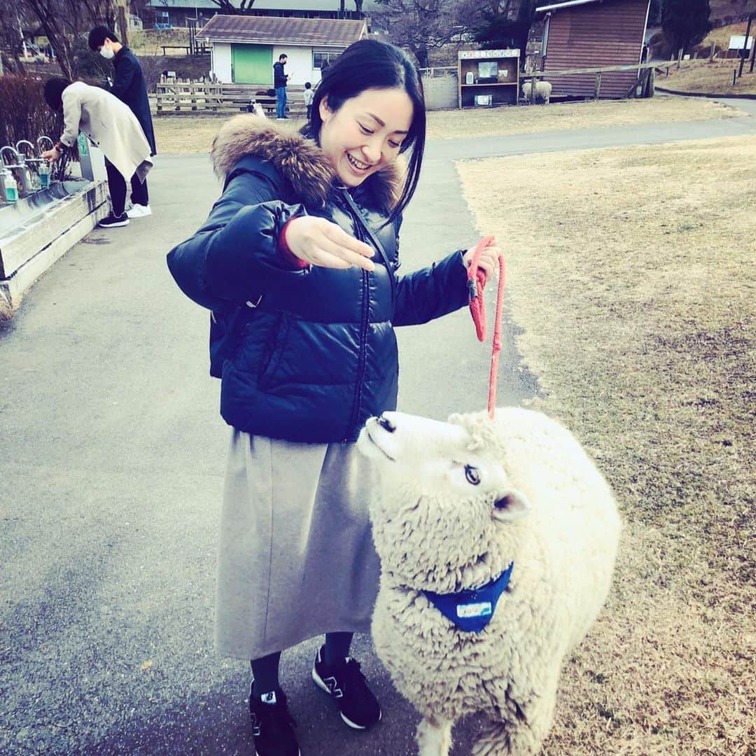 植田佳奈のインスタグラム：「＊こちらはリアルタイムの写真ではなく、撮影したのは昨冬です。 #伊香保グリーン牧場 #羊 #群馬観光 #群馬」