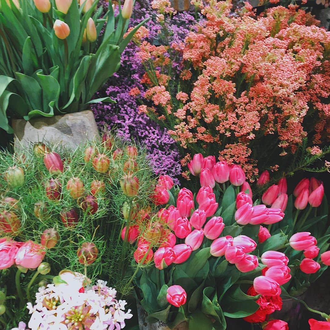 福地夏未さんのインスタグラム写真 - (福地夏未Instagram)「💐 April . _ #spring #april #flowers」4月1日 11時28分 - natsuminmin19