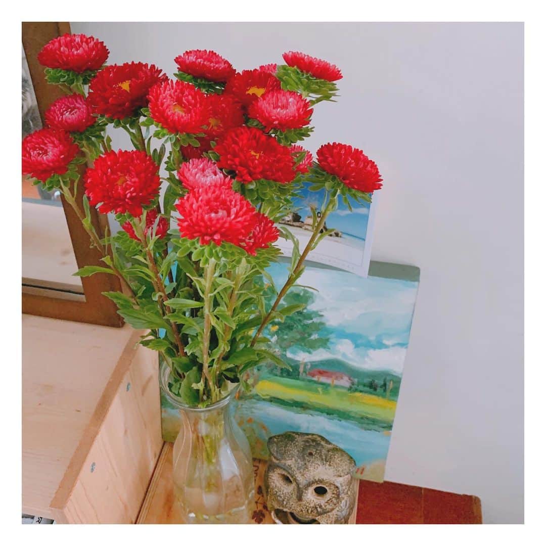 田中千絵さんのインスタグラム写真 - (田中千絵Instagram)「おはようございます☀ 今、台北の自宅には、 鮮やかな色の キク科の花を飾っています。  私は、家にいるのが大好き。 旅行するのと同じくらい 大好きなので、 つねに、心地よい空間づくりを 試行錯誤しています。  家の大きさが 心地よさを決めるのではなく、 家にそそがれる愛情が、 心地よさにつながっていくと 私は思っています。  おうち時間が増えている今の時期、 お花一本飾るだけでも、 心の明るさがちがうと思います^ ^  今日も一日、 マスクと手洗いをしっかりして、 感染しやすい場所にはいかないように 気をつけて過ごしましょう！ . Have a beautiful day!!! . 早安☀️ 現在我台北的家擺了 這麼鮮豔的小菊花喔！  我很喜歡待在家， 和去旅行一樣喜歡， 所以我非常在乎家裡的舒適感。  我會認為 家的大小並不等於是家中的舒適度， 反而是我們怎麼對待自己的家、 怎麼照顧家裡的東西 會影響到家裡的氣氛。  最近 很多人待在家的時間會比較多吧。 趁現在這樣的時候， 你也可以把花兒擺在家裡看看， 哪怕是一朵花兒也好， 心情會很不一樣喔^ ^  請大家今天也 繼續戴口罩、勤洗手、 避免去比較容易被病毒感染的地方！ 一起做好防疫，一起面對這難關！！ . . . #台湾 #taiwan  #おうち時間 #stayhome  #ていねいな暮らし  #暮らしを楽しむ  #花のある暮らし  #コロナが早く終息しますように  #prayfortheworld  #台北と東京の生活  #中国語」4月1日 10時19分 - chietanaka817