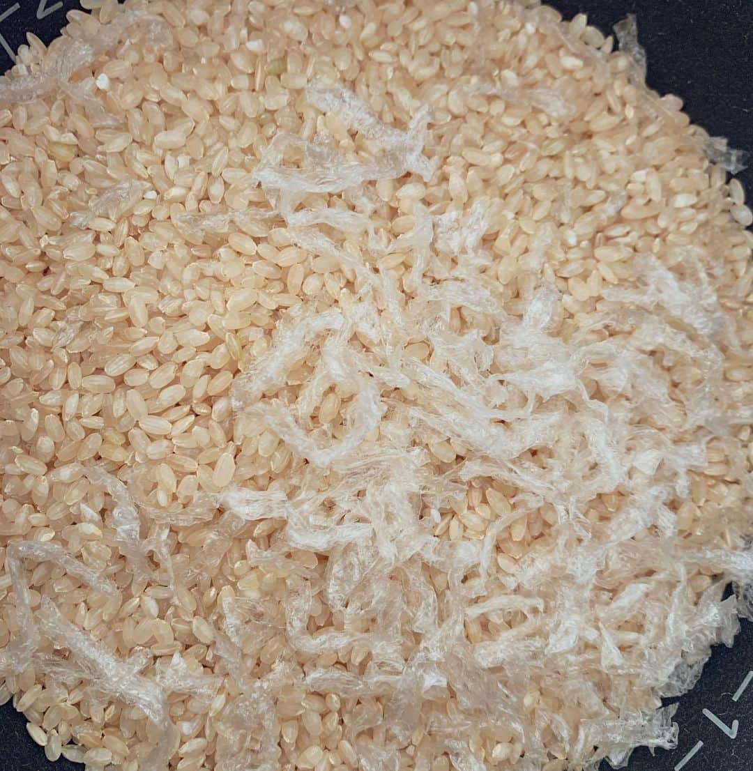 GENKINGの釜飯さんのインスタグラム写真 - (GENKINGの釜飯Instagram)「私は玄米に糸寒天入れて炊くんだけど、ダイエットにはもちろん、寒天を使うと食物繊維が摂れるからオススメ‼️ 白米に混ぜてもOK‼️ 言わなきゃバレないレベルです👍 私はまとめて炊いて小分けにして冷凍‼️ 家族は白米食べても自分だけご飯変えちゃえばOK🙆‍♀️ チリも積もればって事で、小さな積み重ねが綺麗と健康をつくります❤️ #genkingkitchen」4月1日 10時44分 - genkingkitchen
