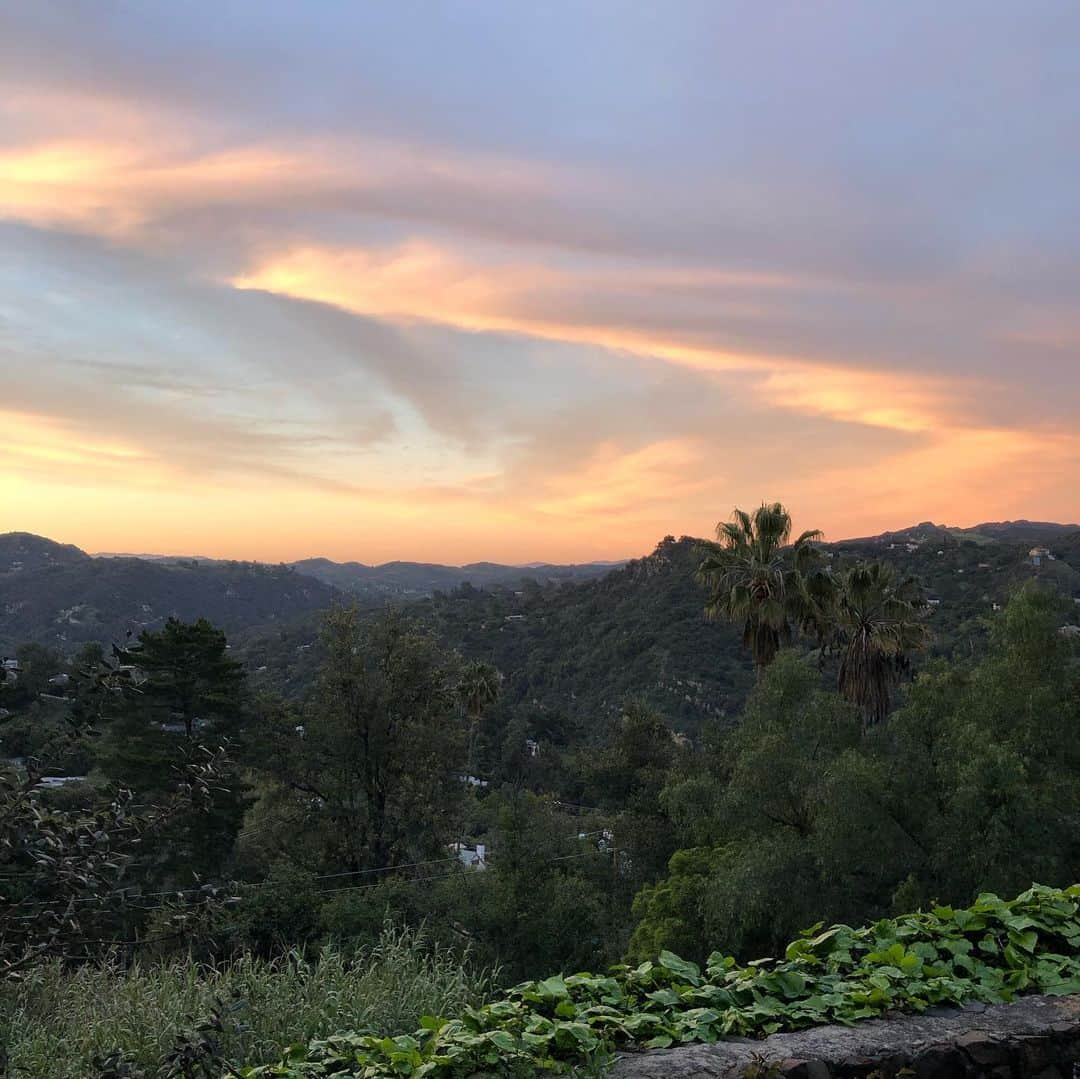 D・W・モフェットさんのインスタグラム写真 - (D・W・モフェットInstagram)「It’s always nice to be reminded who’s really in charge. #itiswhatitis #begrateful #topangacanyon」4月1日 11時23分 - dwmoffett