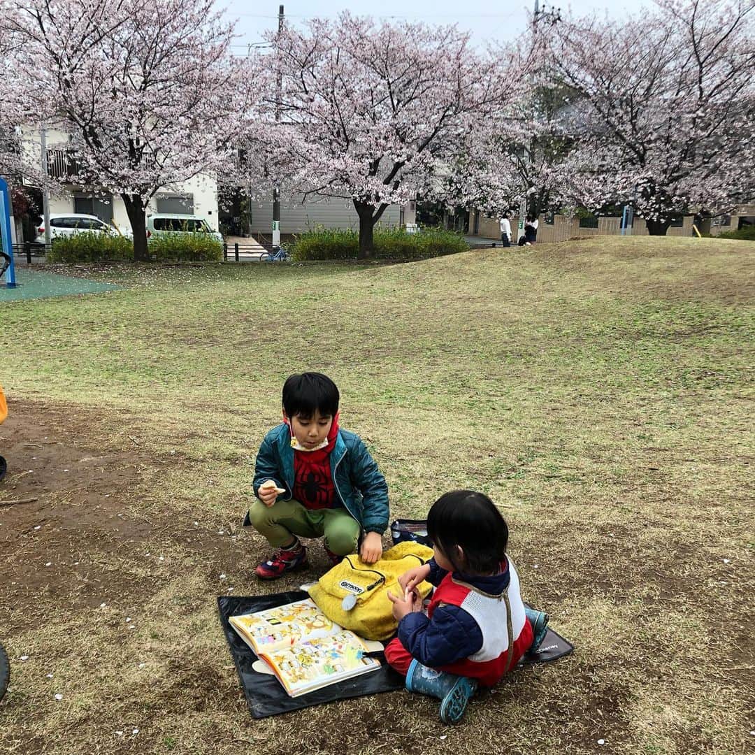 浅川稚広さんのインスタグラム写真 - (浅川稚広Instagram)「今日はどんより曇り空。でも、午後から少し明るくなってきたので、息子の課題プリントが終わってから、公園へお出掛けしました。 満開の桜🌸桜🌸桜🌸😊🌸 子供達も思いっきり走り回って、ストレス発散❣️ レジャーシートが小さ過ぎた😅💦オヤツに持参したフォアミルのお煎餅（２枚入り）の１枚をくれる優しい子供達💓 コロナ感染者が日に日に激増していく中で色々と不安もありますが、なるべく心穏やかに過ごせるように意識しています。 運動不足になりつつあるので、最近はなるべく電動自転車を使わずにベビーカー移動🚼。もう使わないかなぁ〜と思っていたベビーカーでしたが、荷物もかけて運べるし、娘も気楽に歩いたり座ったりをしながら動けるので、まだまだフル活用出来る感じです🌟 遊ばせている途中、偶然公園でお友達ママとも逢えて、お喋りも出来て、嬉しかった〜❣️ #桜🌸 #お花見 #公園遊び #二児の母 #春休みの過ごし方」4月1日 2時56分 - chiffy1110