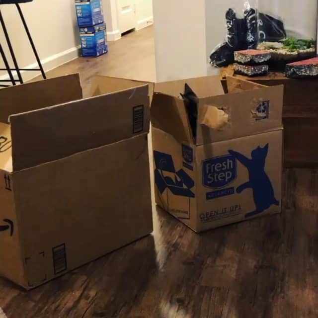 Fresh Stepのインスタグラム：「Protect your box at all cost! 📸 @mytwotorties」
