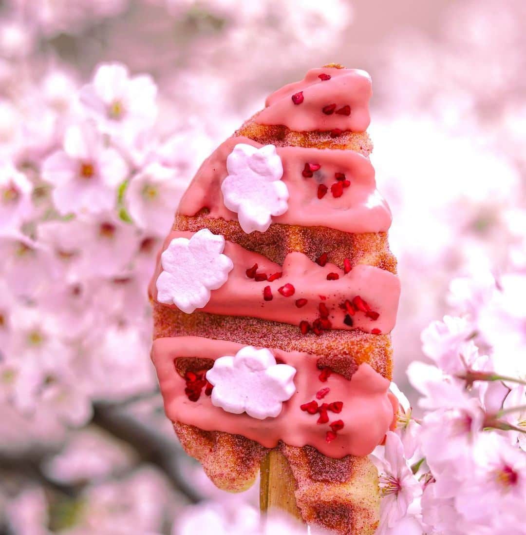 きょん。のグルメインスタ