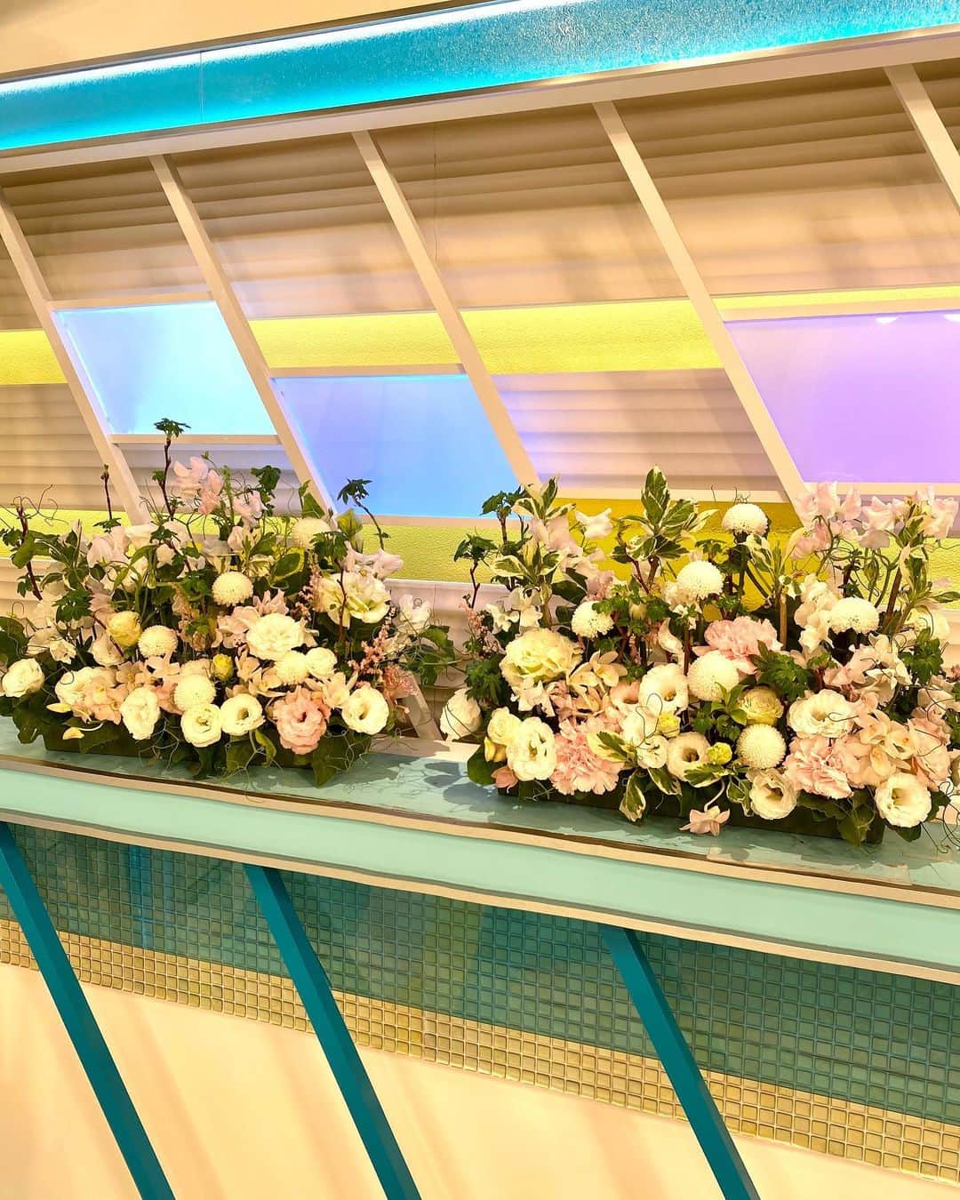 福岡放送「バリはやッ!」さんのインスタグラム写真 - (福岡放送「バリはやッ!」Instagram)「🌸3/30〜のスタジオ装花🌸  桜も見頃を迎え、いよいよ春も本番です。野山の花々が咲き誇るように、春めいた雰囲気の花々で制作致しました。  by THE MANGROVE #takeshithemangrove  #スイートピー #ピンポンマム #トルコキキョウ #カーネーション #リョウブ #アジサイ #フランネルフラワー  #花を飾る #花が好き #花が好きな人と繋がりたい #花は咲く #花を楽しむ #花のある暮らし #花 #春の花　#フラワーアレンジメント　#フラワー　#スタジオ装花　#装花」4月1日 8時32分 - barihaya