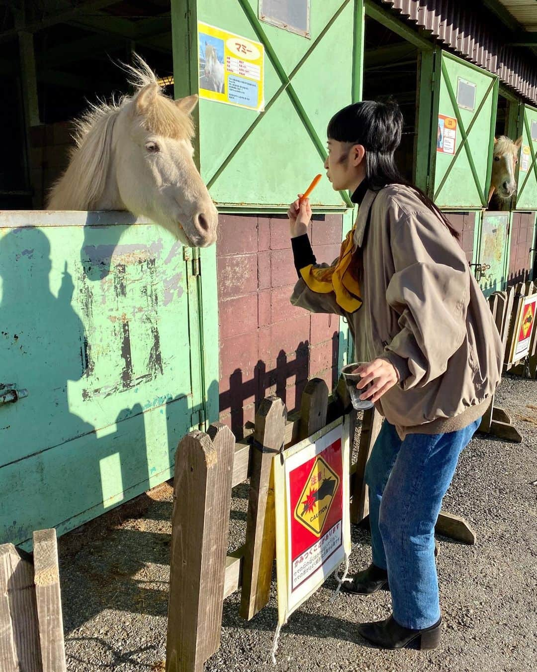 リンリンさんのインスタグラム写真 - (リンリンInstagram)「湯婆婆に馬に変えられちゃったお姉ちゃん  #美容室一緒」4月1日 19時16分 - lingling_lingling_bish