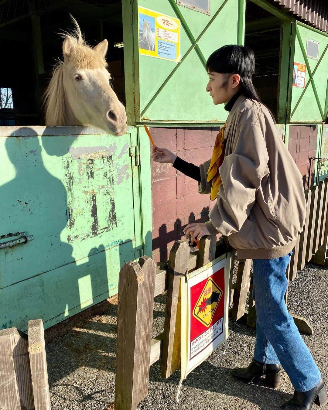 リンリンさんのインスタグラム写真 - (リンリンInstagram)「湯婆婆に馬に変えられちゃったお姉ちゃん  #美容室一緒」4月1日 19時16分 - lingling_lingling_bish