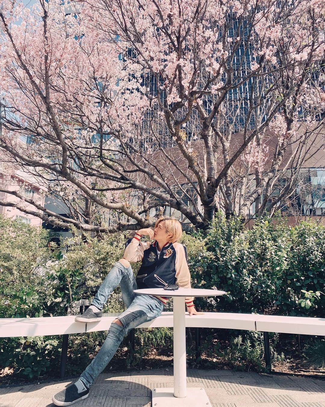 井上正大さんのインスタグラム写真 - (井上正大Instagram)「打ち合わせに行く途中で見つけた桜の木。自粛要請が出る前に撮影した写真だよ。 #cherryblossom #cherryblossoms #ootd #ootdmen #lookoftheday #pr #桜」4月1日 19時19分 - maaaaaaaasahiro