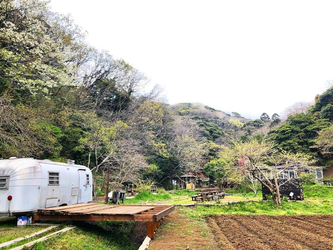 ヒデトレのグルメインスタ