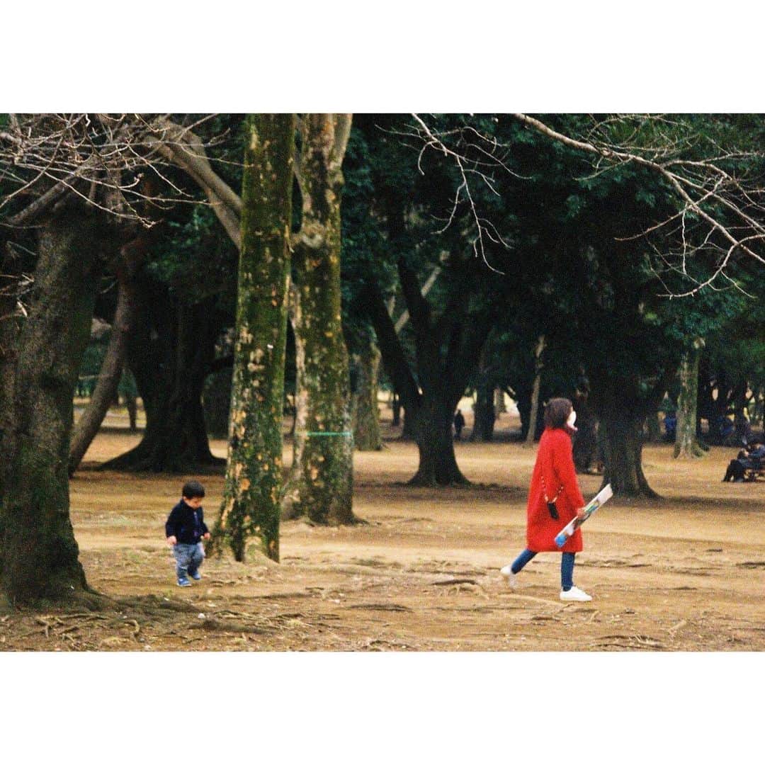 宮﨑香蓮さんのインスタグラム写真 - (宮﨑香蓮Instagram)「みんながまた安心して 元気いっぱい、外で遊べますように。ほんとうに。 📷 わたしにできることをやろう 連投失礼しました！ filmで撮ったものが 溜まってた！🧸 #film#pentax#espio160#lomography400#カレントフィルム」4月1日 20時05分 - karen_miyazaki_official