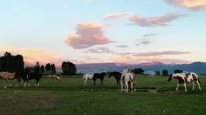 Katelyn Byrdのインスタグラム：「Counting down the days ✨🐴💫🦋🌾⛰」
