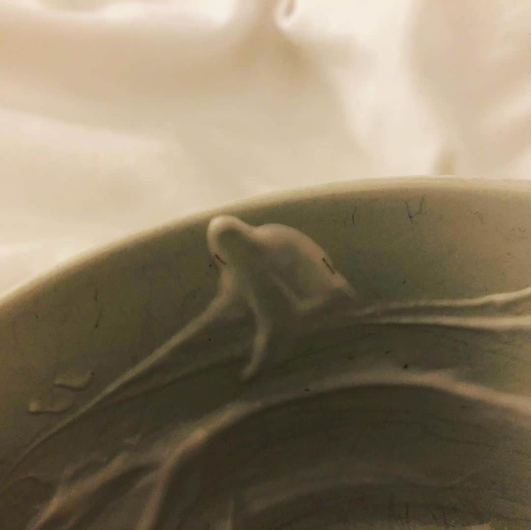 ヤニ・ゲルマンのインスタグラム：「This yogurt streak looks a bit like a dolphin breaching the waves, the beautiful yogurty waves  #quarantine #hope #yogurt」