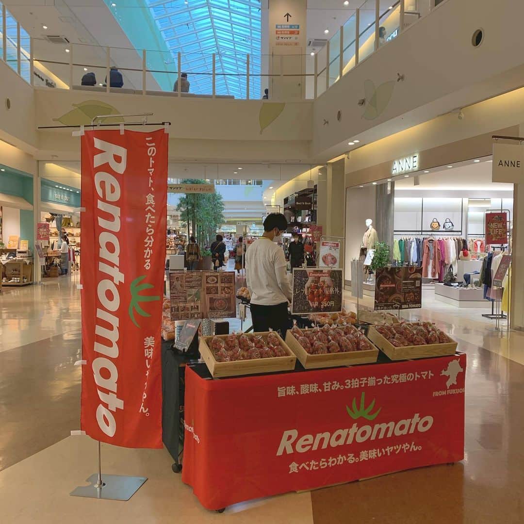 福岡超新鮮野菜/フレラボ薬院店のインスタグラム：「本日4/1〜4/12まで木の葉モール橋本さんにて柿とトマトを販売させて頂いてます😊 . . #とどける株式会社#ダダダカンパニー#レナトマト#renatomato#木の葉モール橋本#イベント#農業#農家#産直#福岡#アオゾラスタイル#アグリーズ#agries」