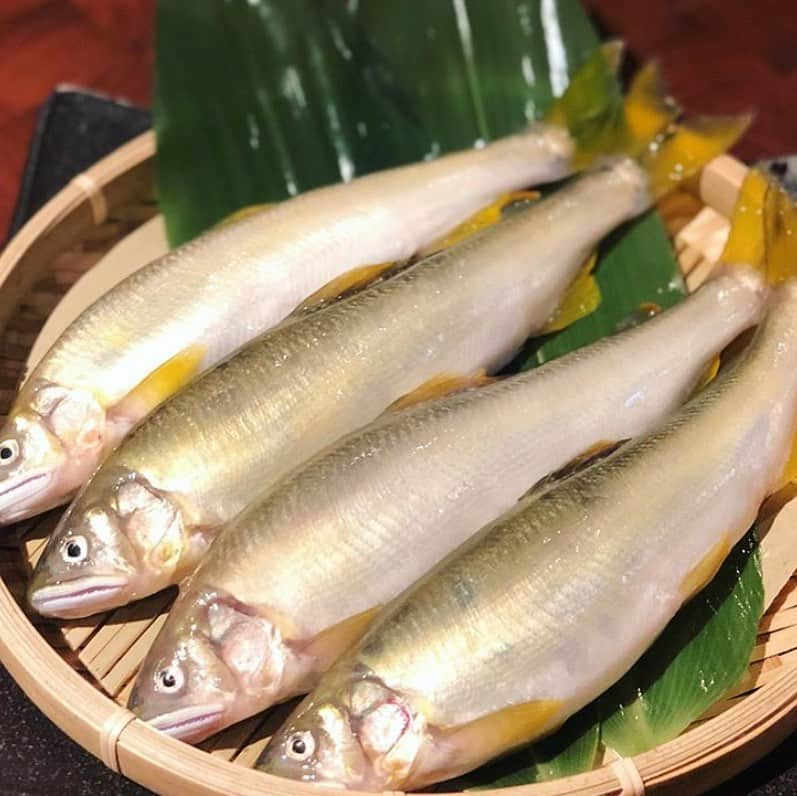 魚鉄 明石店のインスタグラム