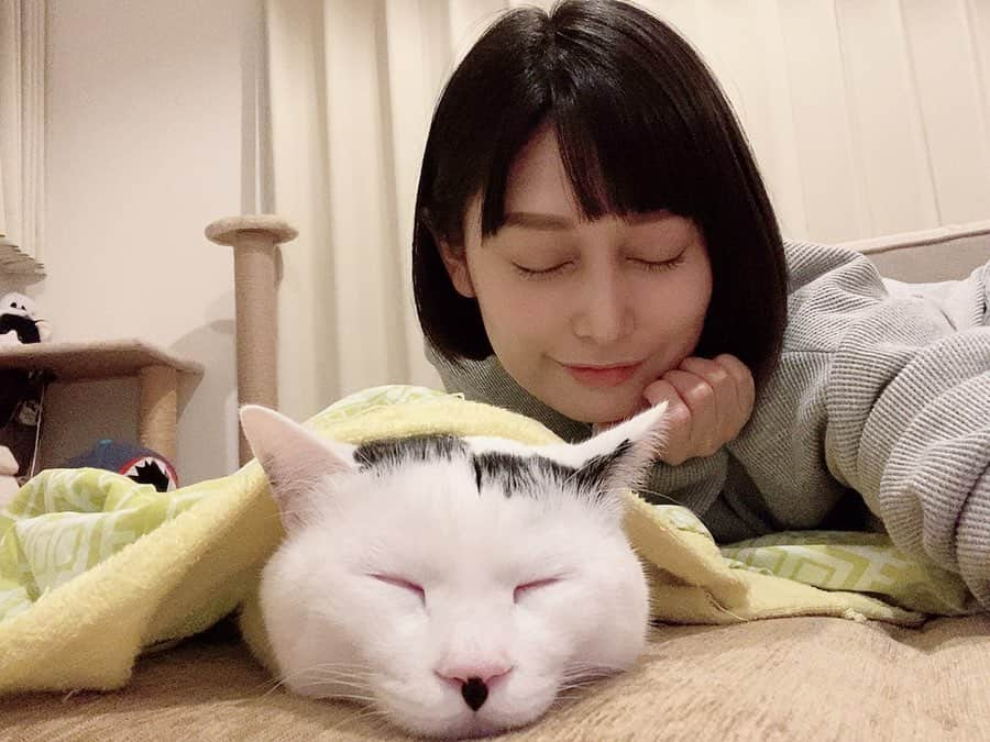 佐藤乃莉さんのインスタグラム写真 - (佐藤乃莉Instagram)「おすしがやたらデカく見えるよw  すやーん🐱✨ Take care and stay healthy🙏✨ #instacat #cat#family#love#おすし#sleep」4月1日 14時02分 - nori_sato_