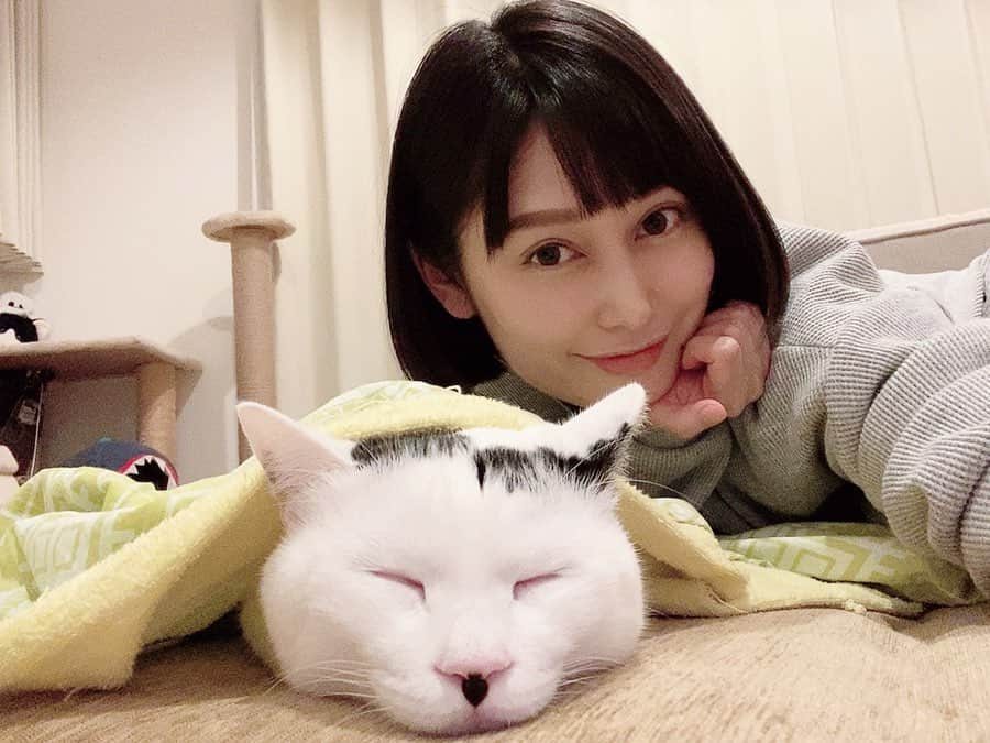 佐藤乃莉さんのインスタグラム写真 - (佐藤乃莉Instagram)「おすしがやたらデカく見えるよw  すやーん🐱✨ Take care and stay healthy🙏✨ #instacat #cat#family#love#おすし#sleep」4月1日 14時02分 - nori_sato_