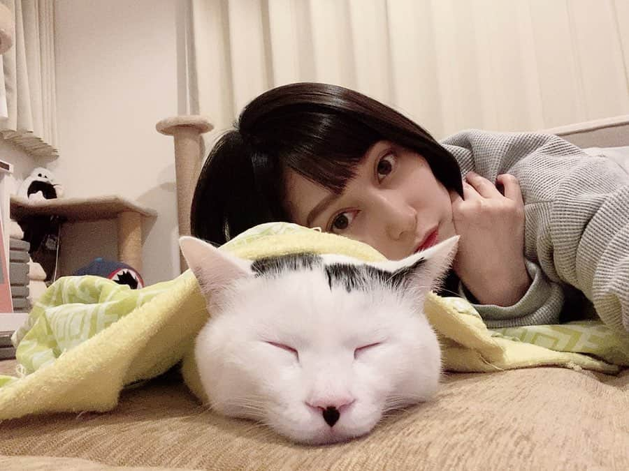 佐藤乃莉さんのインスタグラム写真 - (佐藤乃莉Instagram)「おすしがやたらデカく見えるよw  すやーん🐱✨ Take care and stay healthy🙏✨ #instacat #cat#family#love#おすし#sleep」4月1日 14時02分 - nori_sato_