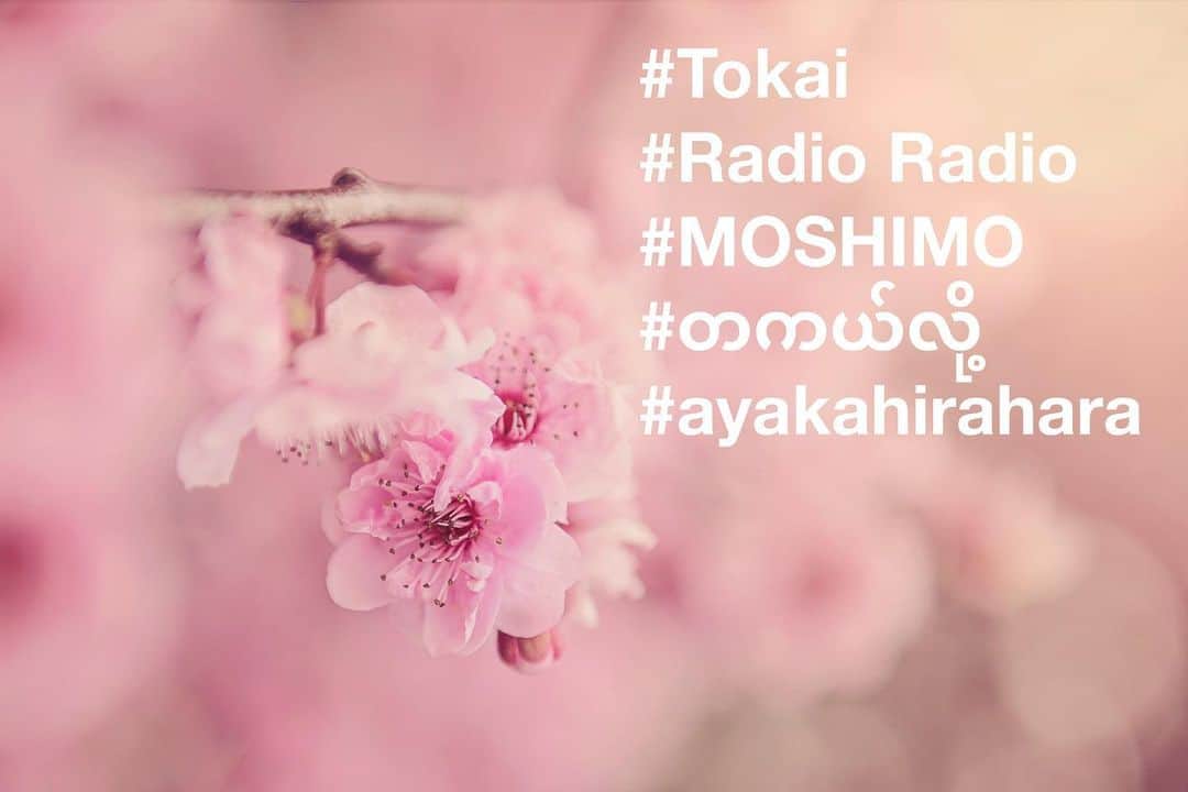 平原綾香さんのインスタグラム写真 - (平原綾香Instagram)「. 本日4月1日（水） ラジオに生出演いたします 電話出演です . MOSHIMOについても話します オンエアもあります . 出演は17:40〜ごろです . 番組名：東海ラジオ開局60年記念日3DAYS『今日までもそしてこれからも』 . #MOSHIMO #ayakahirahara #平原綾香」4月1日 14時22分 - ayaka_hirahara_official