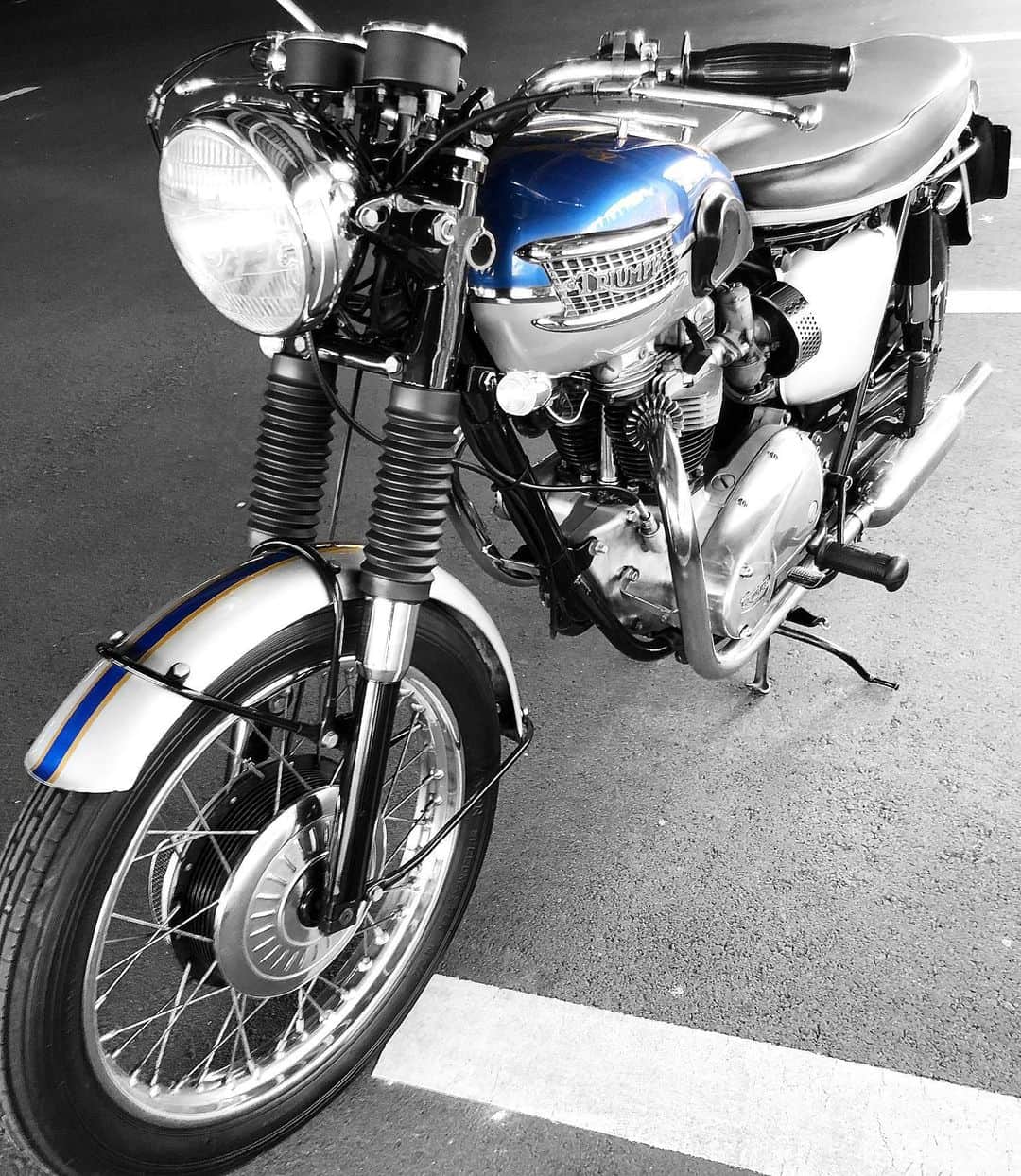 のインスタグラム：「特に青が好きなわけではないけどボニーの青は好き。#mytriumphpic  #triumph #t120 #bonneville #bonnie #britbike #britishmotorcycles #classicmotorcycles #lewisleathers #madeinengland #rockers  #caferacer #tonupboys #triumphmotorcycles #vintagetriumph #manga #japanesecomic #love #instagood #cute #fashion #バイクメーン #ボニー #トライアンフ #ボンネビル #ロッカーズ #カフェレーサー #ルイスレザー」