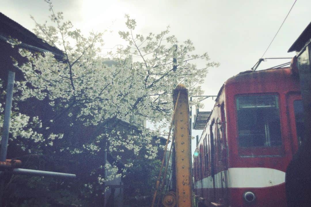 末永百合恵さんのインスタグラム写真 - (末永百合恵Instagram)「今日から4月！新年度のはじまり。  みんなや、みんなの大切な人たちが、少しでも、心すこやかに日々を過ごせますように。  #2020#4月#新年度#はじまり#桜#列車#電車#冬から春へ#季節#好き#今はつらくても#少しでも#心#すこやかに#笑顔で#また会いたい#april#cherryblossom#train#comming#spring#hope#manypeople#allpeople#smile#life#love#prayfortheworld#prayforpeace」4月1日 15時33分 - yurie__suenaga