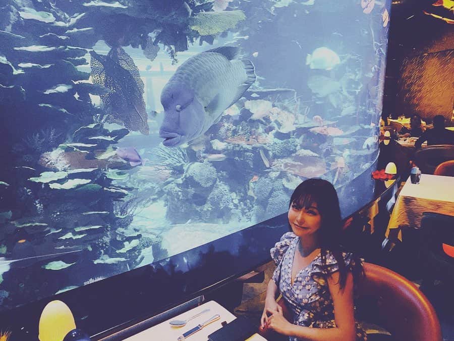 利咲さんのインスタグラム写真 - (利咲Instagram)「ブルジュアルアラブの地下にあるレストラン🐠Al Mahara🐟 @brujalarab﻿ 巨大な水槽が有名なレストランです。﻿ 本当内装がキラキラで輝いてます✨﻿ お食事もキラキラで美味しかった🤩🍽﻿ ﻿ ナポレオンフィッシュの顔が面白すぎてツボってしまい笑いが止まらなかった…笑﻿ ドバイは至るところに水槽が内装としてあってお魚さんが泳いでて凄いなぁと思います。　﻿ （ドバイモールにあるギネス登録の世界最大である水槽は日本製らしい。他にもドバイではアクリルパネルが日本製のものが使われてるらしい）﻿ ﻿ 🙏ついにドバイ万博も一年延期になってしまいました。世の中の動きが目まぐるしく変わっていてたくさんの苦労や不安が押し寄せるかもしれません。﻿ 楽観的すぎるのも悲観的過ぎるのも良くないと考え、俯瞰していつくかの目で見て、自分の信じるべき目を持って進んでいきたいと思います。﻿ ﻿ ﻿ Burj Al Arab basement restaurant 🐠Al Mahara🐟 @burjalarab  This restaurant is famous for its huge aquarium. ﻿ The interior is really shining.﻿ Meal is also glittering and delicious.﻿ ﻿ Napoleon Fish's face was so funny that I couldn't stop laughing ... lol﻿ I think it's amazing that there are many aquariums as interior decorations in Dubai.﻿ (The Guinness World's Largest Aquarium at the Dubai Mall is made in Japan. In addition, the acrylic panels of the aquarium are made in Japan in Dubai.)﻿ ﻿ ﻿ 🙏 The Dubai Expo 2020 has been postponed for one year.  The movements in the world are changing so fast that a lot of hardship and anxiety may come. ﻿ I don't think it's good to be too optimistic or too pessimistic. ﻿ I want to take a bird's-eye view and see what I can believe in and proceed with my own believable eyes.﻿ ﻿ ﻿ ﻿ #AlMahara #NATHANOUTLAWATALMAHARA #ナポレオンフィッシュ #アクアリウム #aquarium #アルマハラ﻿ #BurjAlArabJumeirah #burjalarab #ブルジュアルアラブ #burjalarabhotel #burjalarabhotel⭐️⭐️⭐️⭐️⭐️⭐️⭐️ #7つ星ホテル #7starhotel #7star #jumeirah #jumeirahhotels #ジュメイラ #ジュメーラ #ドバイ #dubai #uae #アラブ首長国連邦 #BurjalArabToweroftheArabs #330平米 #クラブスイート #sweetroom #ToweroftheArabs﻿ #dubai🇦🇪 #dubai❤️ #lovedubai」4月1日 16時01分 - himeringo908