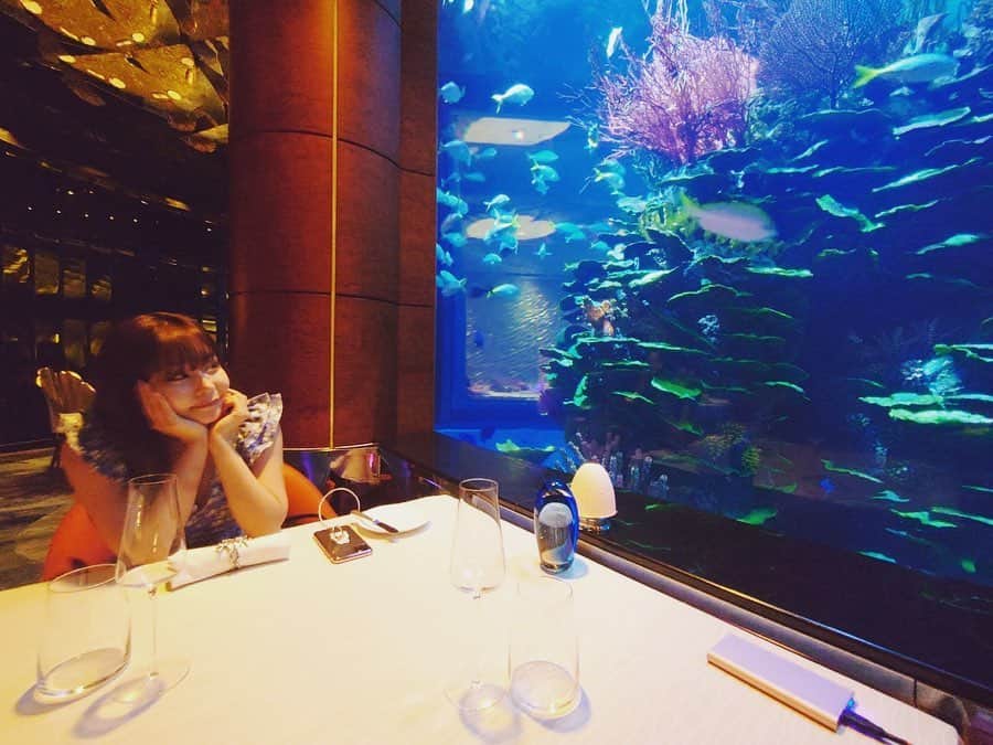 利咲さんのインスタグラム写真 - (利咲Instagram)「ブルジュアルアラブの地下にあるレストラン🐠Al Mahara🐟 @brujalarab﻿ 巨大な水槽が有名なレストランです。﻿ 本当内装がキラキラで輝いてます✨﻿ お食事もキラキラで美味しかった🤩🍽﻿ ﻿ ナポレオンフィッシュの顔が面白すぎてツボってしまい笑いが止まらなかった…笑﻿ ドバイは至るところに水槽が内装としてあってお魚さんが泳いでて凄いなぁと思います。　﻿ （ドバイモールにあるギネス登録の世界最大である水槽は日本製らしい。他にもドバイではアクリルパネルが日本製のものが使われてるらしい）﻿ ﻿ 🙏ついにドバイ万博も一年延期になってしまいました。世の中の動きが目まぐるしく変わっていてたくさんの苦労や不安が押し寄せるかもしれません。﻿ 楽観的すぎるのも悲観的過ぎるのも良くないと考え、俯瞰していつくかの目で見て、自分の信じるべき目を持って進んでいきたいと思います。﻿ ﻿ ﻿ Burj Al Arab basement restaurant 🐠Al Mahara🐟 @burjalarab  This restaurant is famous for its huge aquarium. ﻿ The interior is really shining.﻿ Meal is also glittering and delicious.﻿ ﻿ Napoleon Fish's face was so funny that I couldn't stop laughing ... lol﻿ I think it's amazing that there are many aquariums as interior decorations in Dubai.﻿ (The Guinness World's Largest Aquarium at the Dubai Mall is made in Japan. In addition, the acrylic panels of the aquarium are made in Japan in Dubai.)﻿ ﻿ ﻿ 🙏 The Dubai Expo 2020 has been postponed for one year.  The movements in the world are changing so fast that a lot of hardship and anxiety may come. ﻿ I don't think it's good to be too optimistic or too pessimistic. ﻿ I want to take a bird's-eye view and see what I can believe in and proceed with my own believable eyes.﻿ ﻿ ﻿ ﻿ #AlMahara #NATHANOUTLAWATALMAHARA #ナポレオンフィッシュ #アクアリウム #aquarium #アルマハラ﻿ #BurjAlArabJumeirah #burjalarab #ブルジュアルアラブ #burjalarabhotel #burjalarabhotel⭐️⭐️⭐️⭐️⭐️⭐️⭐️ #7つ星ホテル #7starhotel #7star #jumeirah #jumeirahhotels #ジュメイラ #ジュメーラ #ドバイ #dubai #uae #アラブ首長国連邦 #BurjalArabToweroftheArabs #330平米 #クラブスイート #sweetroom #ToweroftheArabs﻿ #dubai🇦🇪 #dubai❤️ #lovedubai」4月1日 16時01分 - himeringo908