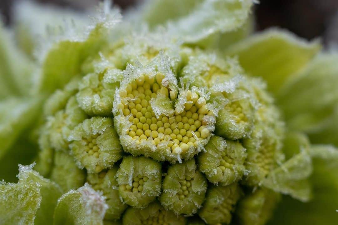 山人のグルメインスタ