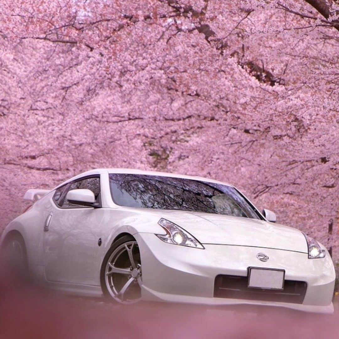 日産自動車さんのインスタグラム写真 - (日産自動車Instagram)「Photo by @shinya.z34 ﻿ ﻿ #フェアレディZ  #🌸#桜 #お花見 ﻿ #日産 #nissan #ニッサン #nissanjapan #🚗 #5523 ﻿ ﻿ #5523🌸 をつけた素敵な投稿をリポストでご紹介します♪﻿ SNSでお花見をしませんか？」4月1日 17時21分 - nissanjapan